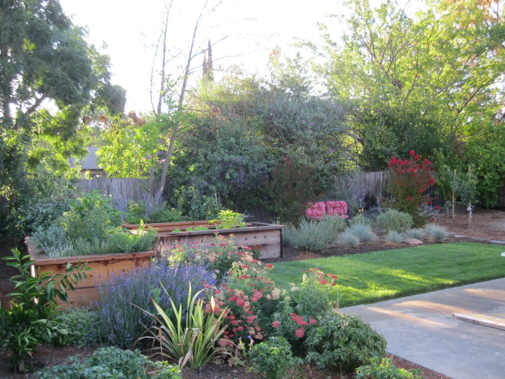 Front & Backyard with Native Plants & Flagstone Patio by Hortus Design Sustainable Landscapes - Photo 3
