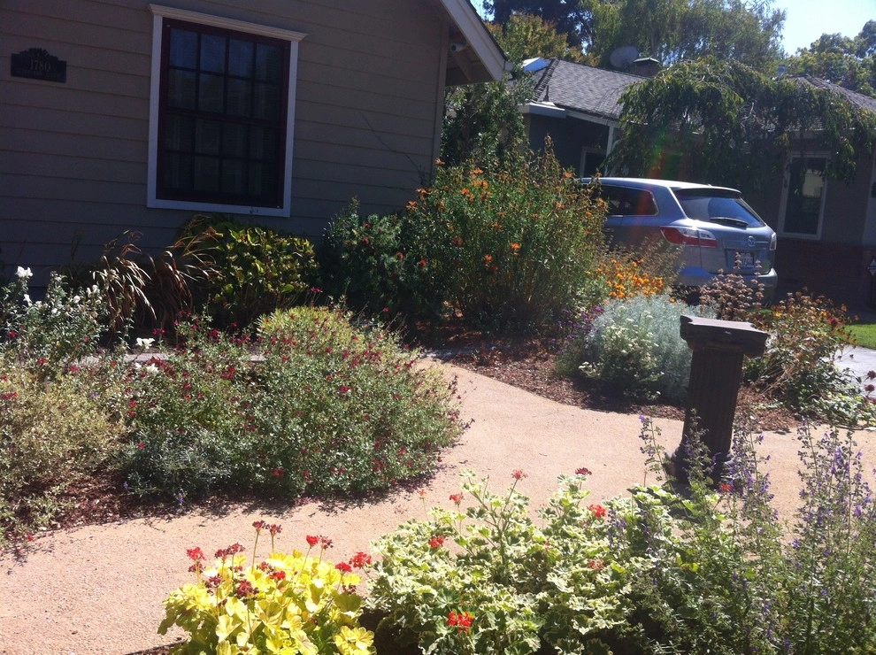 Formal Garden with low water plants by Hortus Design Sustainable Landscapes - Photo 29