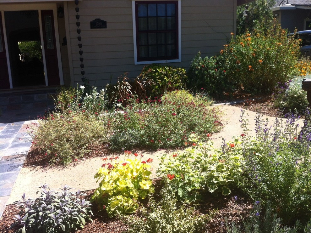 Formal Garden with low water plants by Hortus Design Sustainable Landscapes - Photo 22