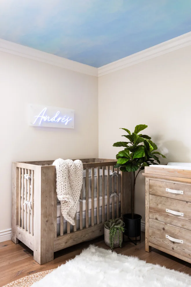 Infant Boy's Room by Kaitlyn Wolfe - Photo 23