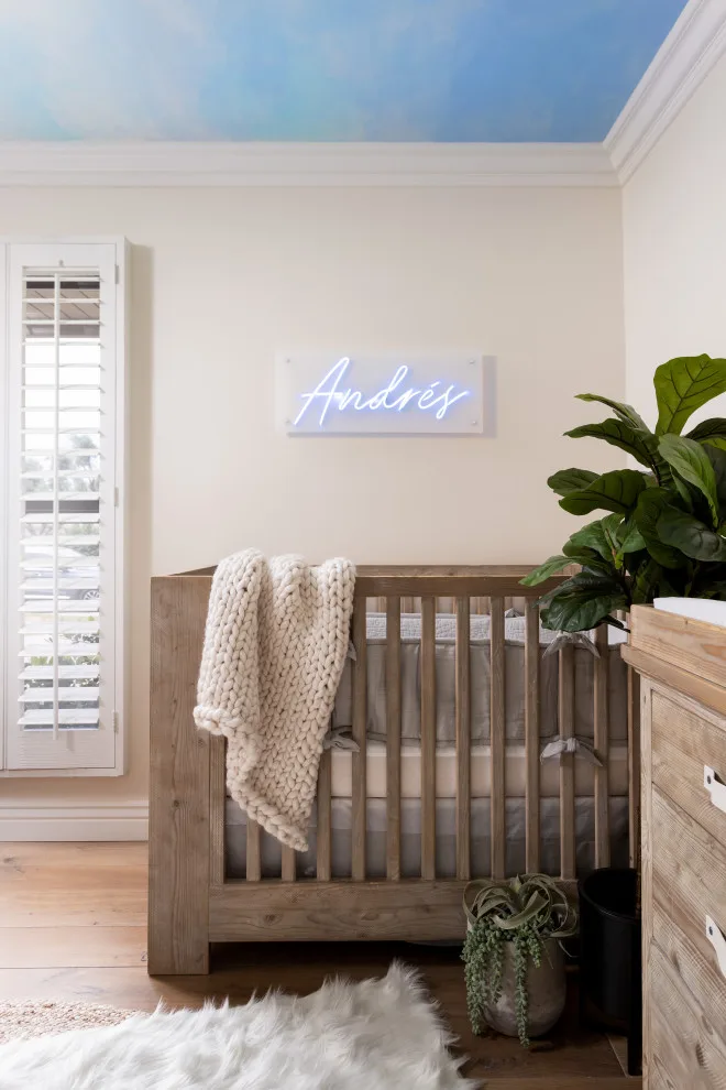 Infant Boy's Room by Kaitlyn Wolfe - Photo 22