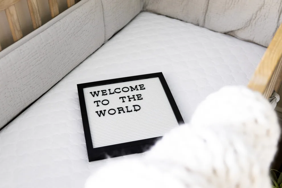 Infant Boy's Room by Kaitlyn Wolfe - Photo 6