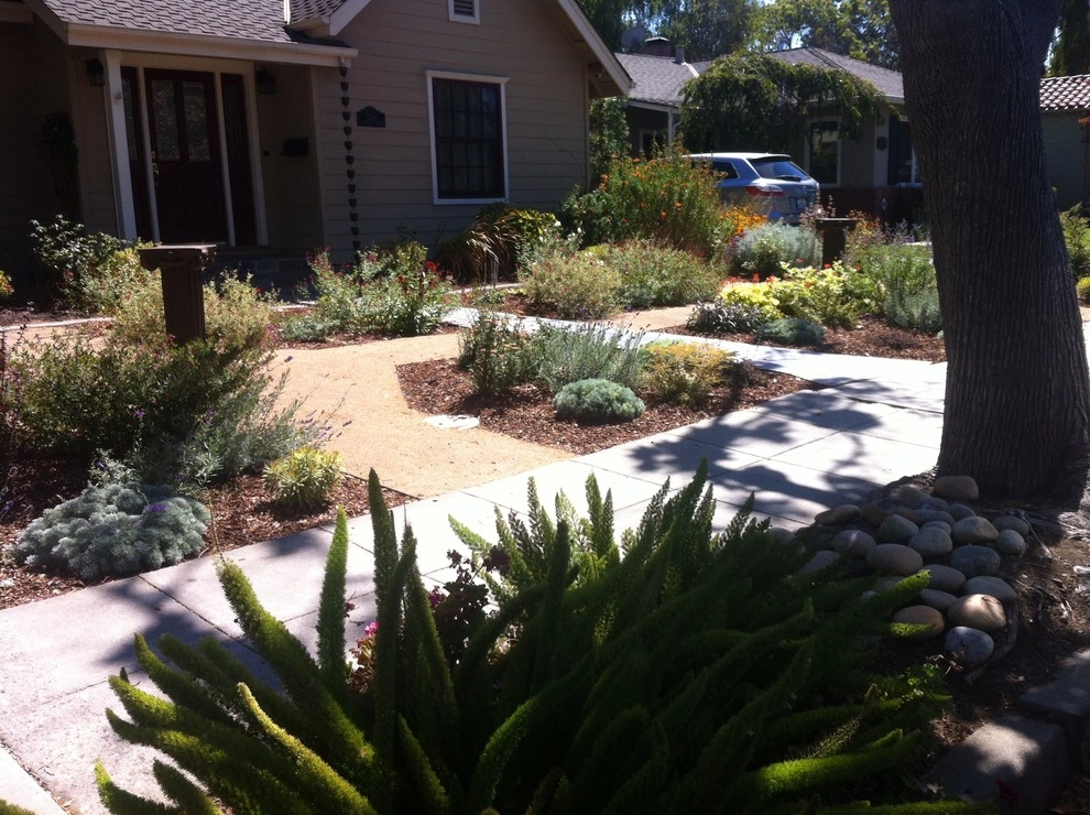 Formal Garden with low water plants by Hortus Design Sustainable Landscapes - Photo 11