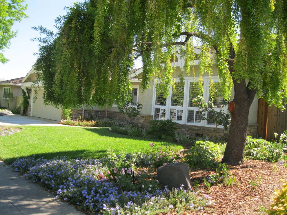 Cottage Style Curb Appeal & Backyard by Hortus Design Sustainable Landscapes - Photo 4