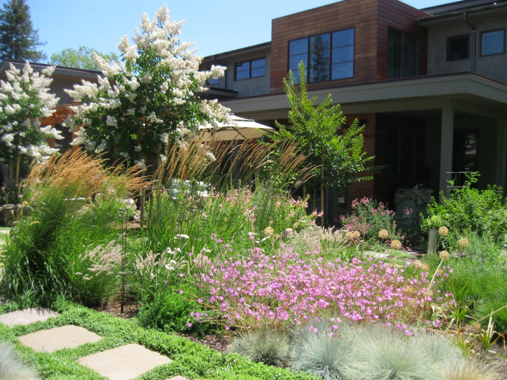 Modern, Eclectic Front & Back Yards by Hortus Design Sustainable Landscapes - Photo 5