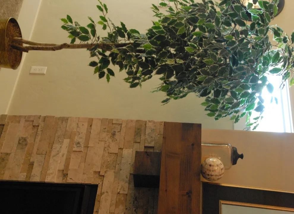 Bachelor Quarters by Sarah Waddell, Pomeroy House Interiors - Photo 14