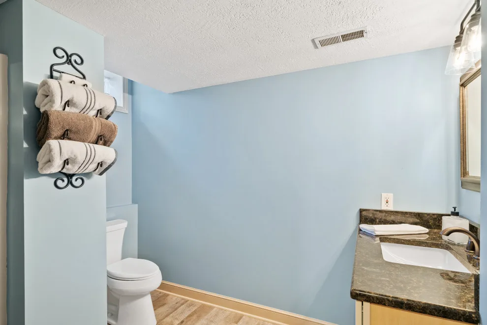 Basement Revitalization: Flooring, Carpeting, and Painting by Spaces To Aspire - Photo 4