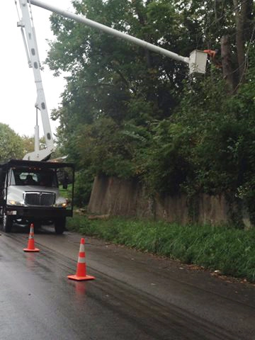 Hunters Lawn Care & Tree Service - Photo 14