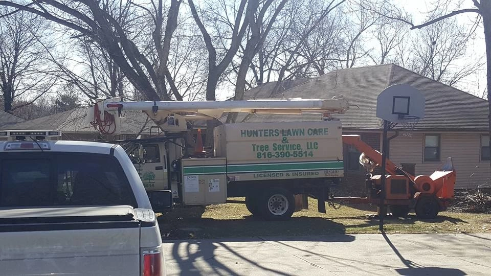 Lawn Care & Tree Trimming by Hunters Lawn Care & Tree Service - Photo 8