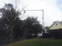Hunters Lawn Care & Tree Service - Photo 11