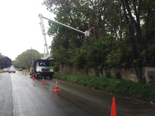 Hunters Lawn Care & Tree Service - Photo 9
