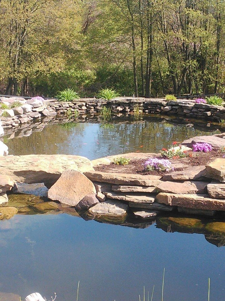 Ice Landscaping & General Contractors, LLC. - Photo 9