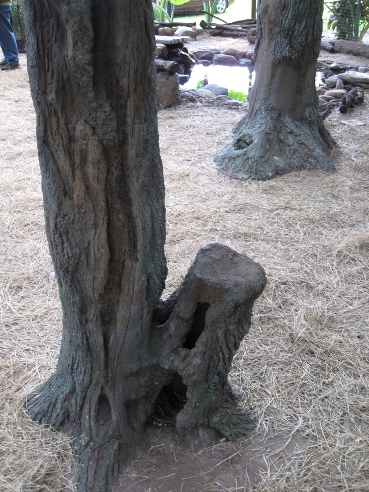 Artifical Dead Oak Trees in Private Bird Aviary by IDigPonds.com & Desired Landscapes LLC - Photo 5