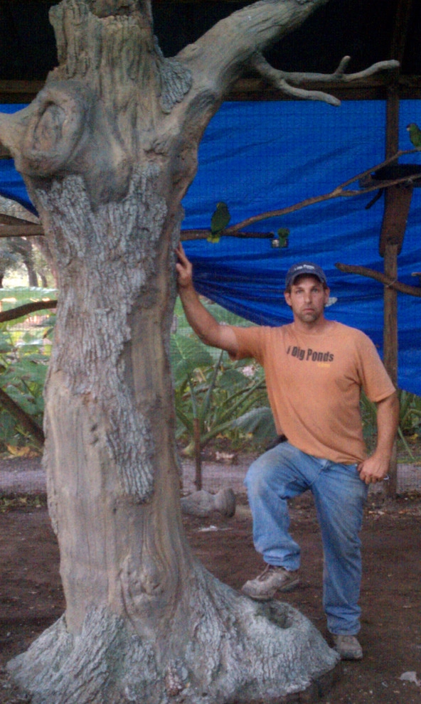 Artifical Dead Oak Trees in Private Bird Aviary by IDigPonds.com & Desired Landscapes LLC - Photo 6