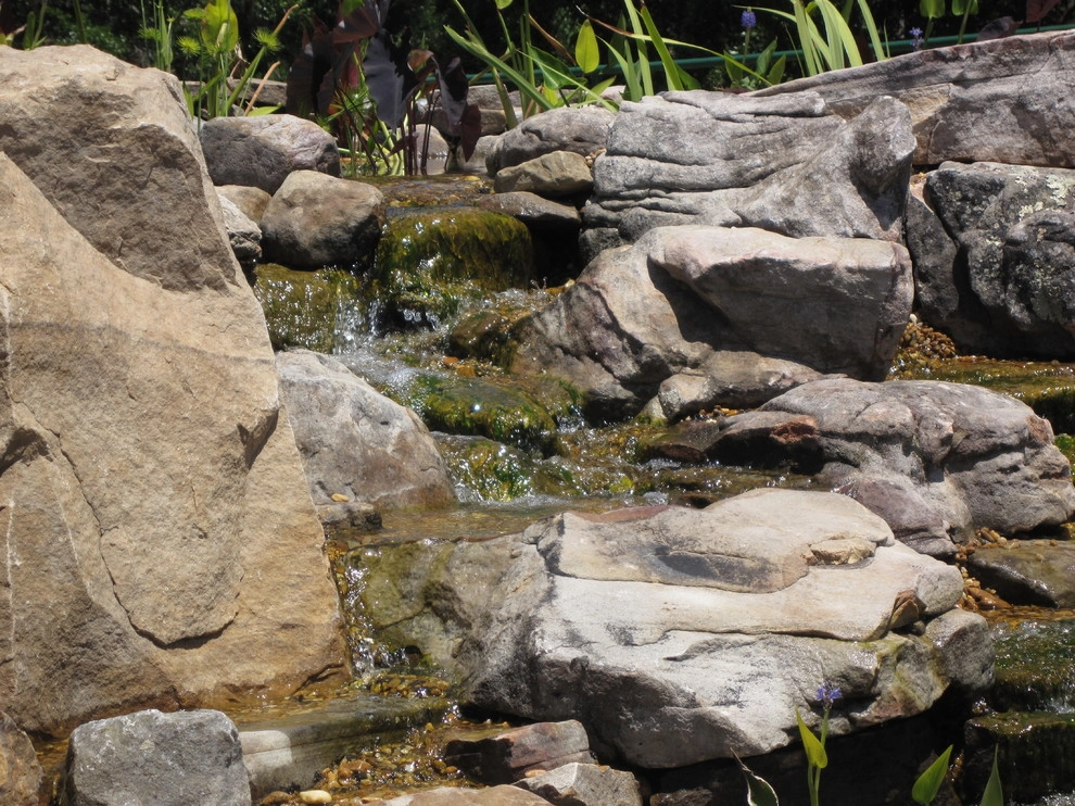 IDigPonds.com & Desired Landscapes LLC - Photo 3