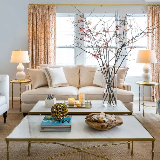Coastal Living Room with Beach Style Design by DLT Interiors-Debbie Travin - Photo 4