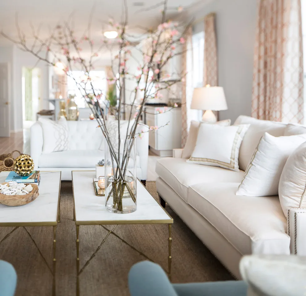 Coastal Living Room with Beach Style Design by DLT Interiors-Debbie Travin - Photo 3