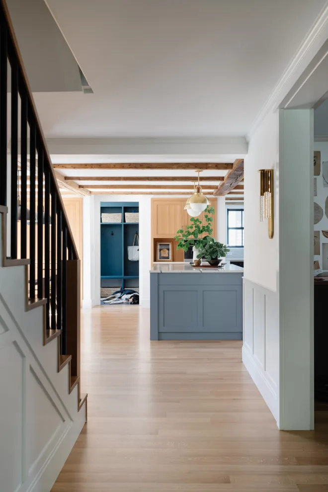 Belmont Massachusetts - Washington by Studio Voltaire Interior Design - Photo 30