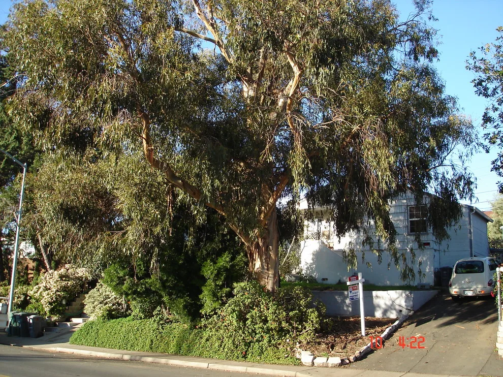 Benicia Avenue by Inside Job Designs - Photo 5
