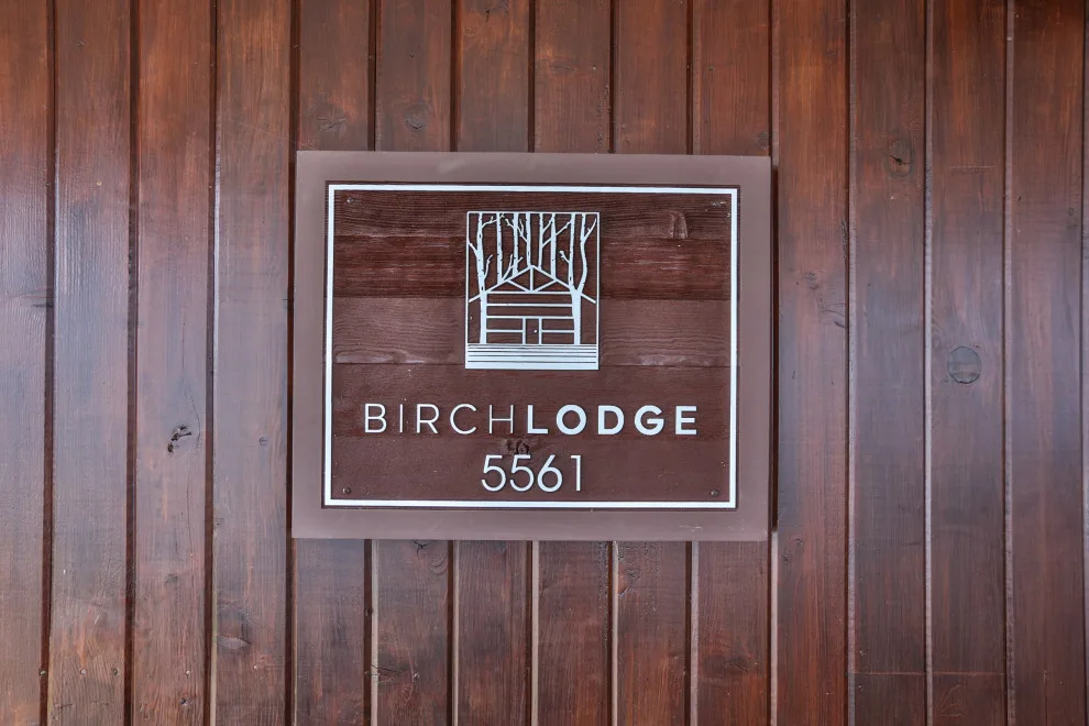 The Birch Cabin Initiative by Meaghan Larrabee Design - Photo 37