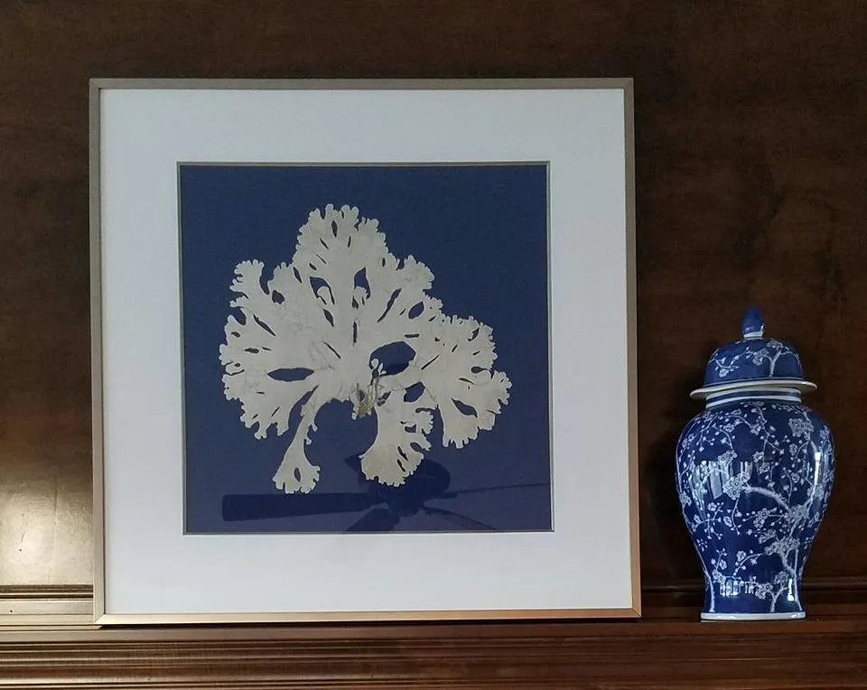 Eternally Blue and White by Sueann Oliphant Designs - Photo 5