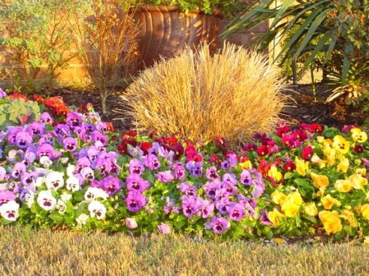 Landscapes by Impact Landscapes Llc - Photo 6
