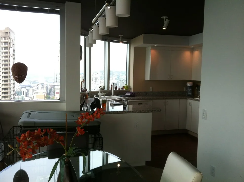 Belltown Modern Condo Renovation by Savvy Cabinetry Design Interiors - Photo 5
