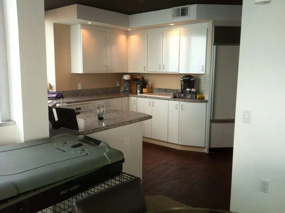 Belltown Modern Condo Renovation by Savvy Cabinetry Design Interiors - Photo 3