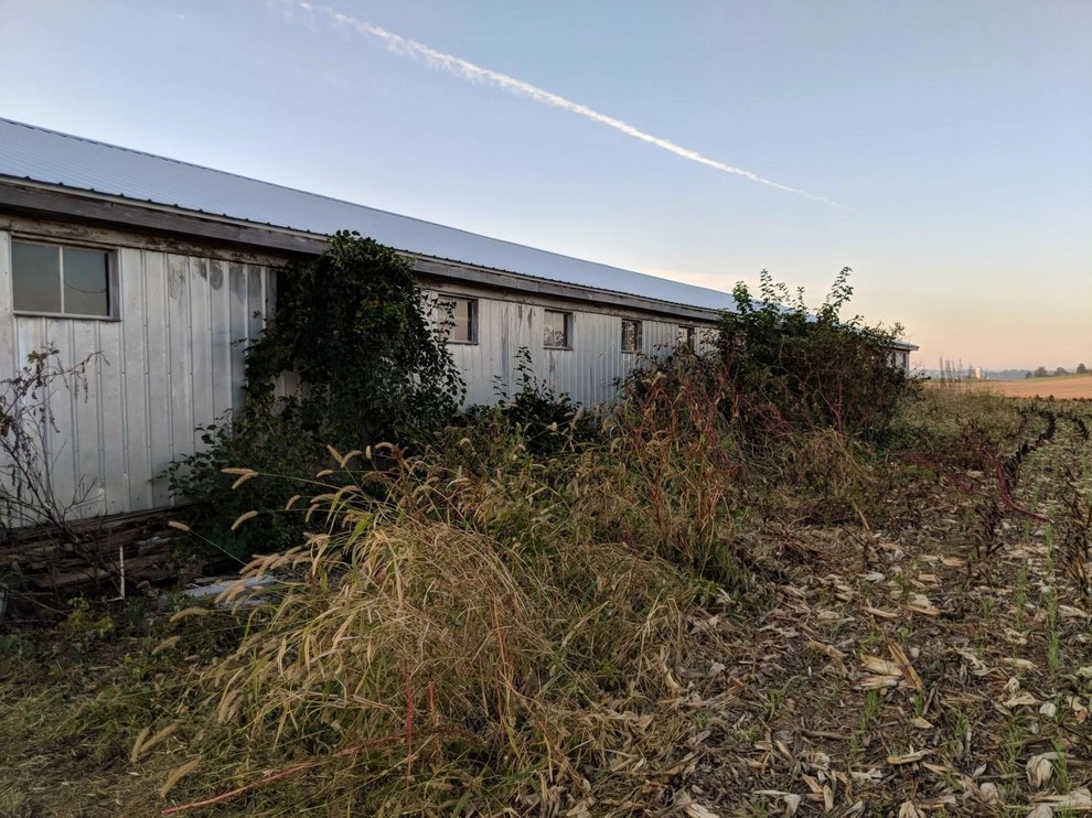 Clean-up by Indian Run Landscaping II, LLC - Photo 2