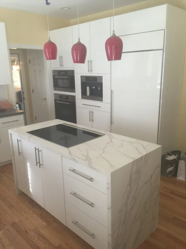 Modern Aesthetic by Capital Design Cabinetry - Photo 26