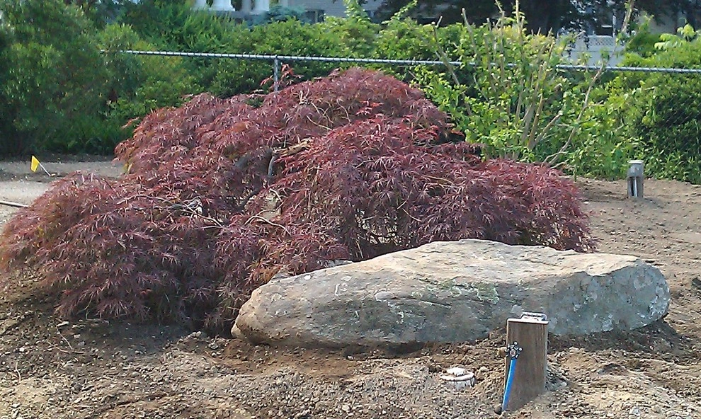 Pizza Post Oxford Plan by Infiniti Properties Creative Landscape Design LLC - Photo 4
