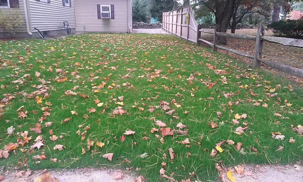 Residential Taylor Plan by Infiniti Properties Creative Landscape Design LLC - Photo 26