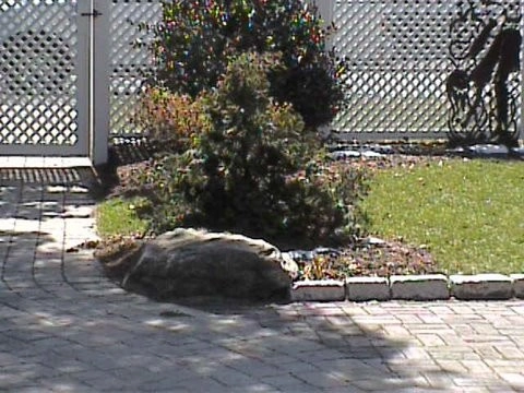 My Work by Infiniti Properties Creative Landscape Design LLC - Photo 68