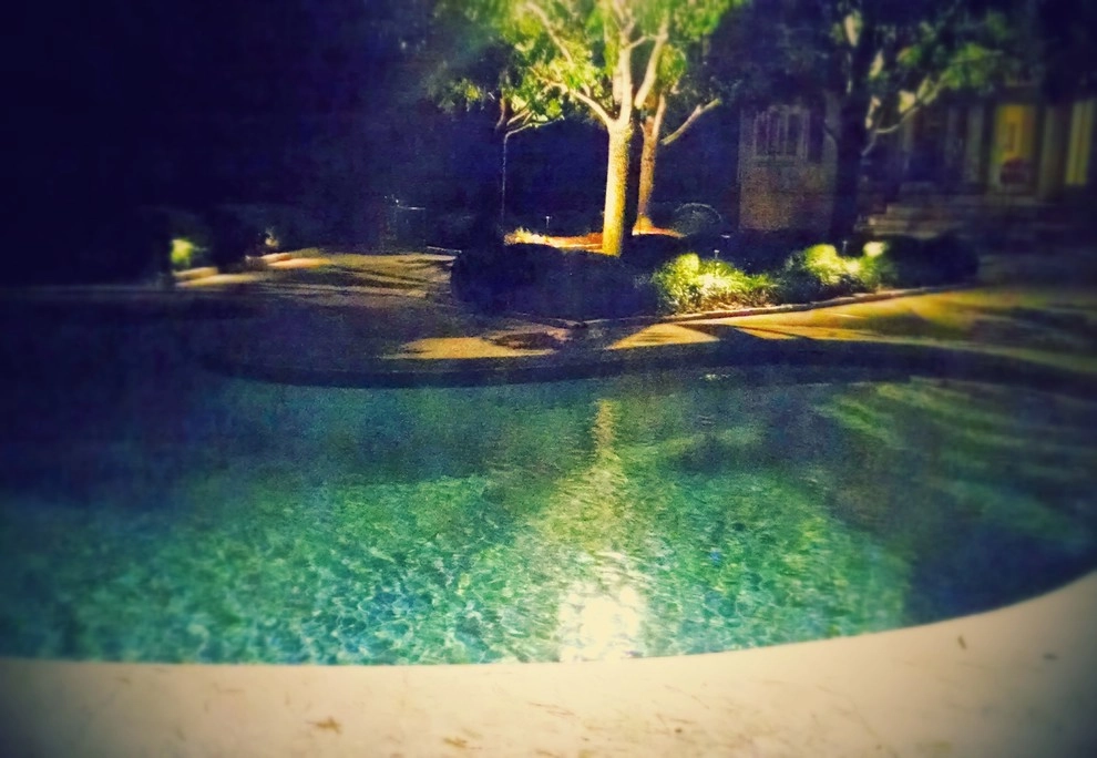 Moon Lighting by J.R. Thomas Landscaping, Inc. - Photo 2