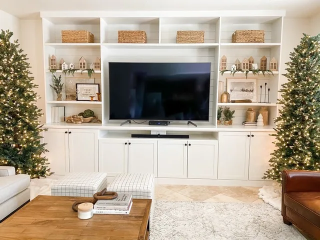 Media Hub / Bookshelves by Classy Closets - Photo 8