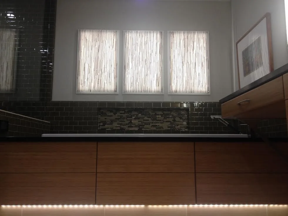 Marshall Contemporary Master and Guest Bathroom by Minnesota Cabinets, INC - Photo 2