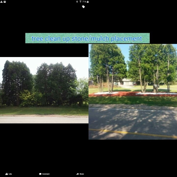 Jackson's Yard Care - Photo 3