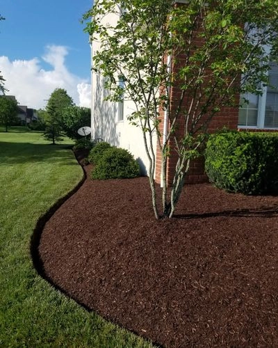 JM Landscape And Tree Services by JM Landscape And Tree Services - Photo 22