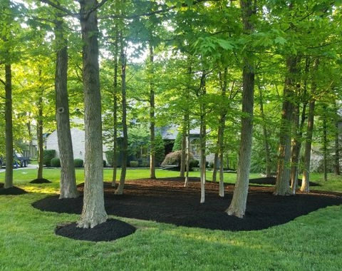 JM Landscape And Tree Services - Photo 13
