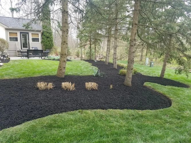 JM Landscape And Tree Services by JM Landscape And Tree Services - Photo 17