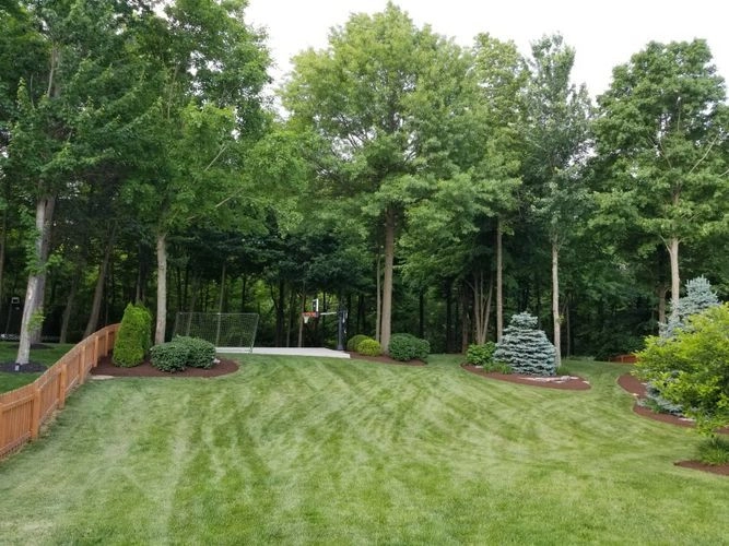 JM Landscape And Tree Services - Photo 9