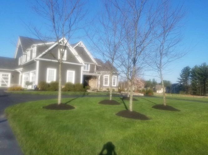 JM Landscape And Tree Services by JM Landscape And Tree Services - Photo 13