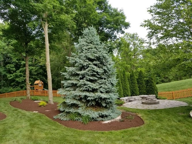 JM Landscape And Tree Services by JM Landscape And Tree Services - Photo 10