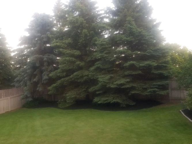 JM Landscape And Tree Services - Photo 12