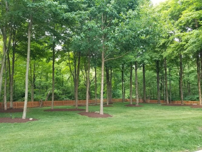 JM Landscape And Tree Services by JM Landscape And Tree Services - Photo 21