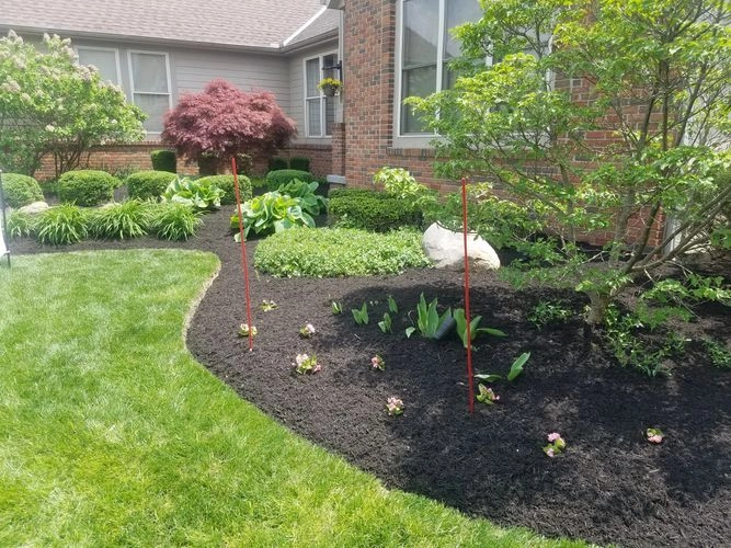 JM Landscape And Tree Services by JM Landscape And Tree Services - Photo 12