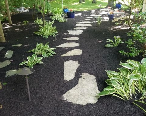 JM Landscape And Tree Services - Photo 5