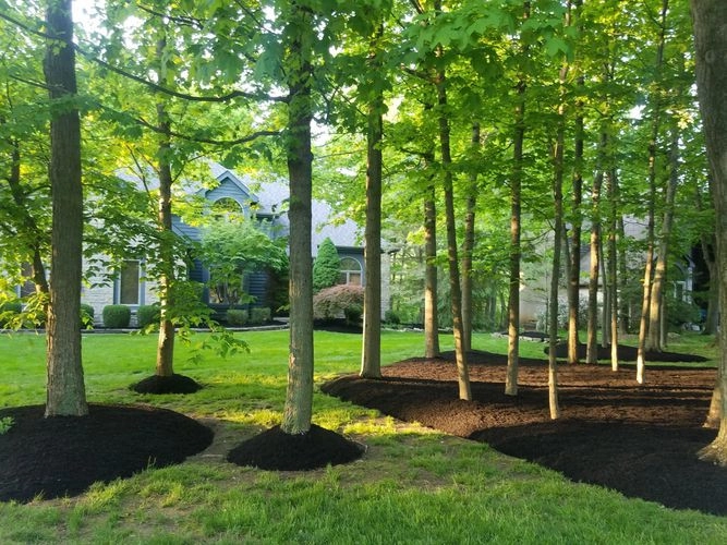 JM Landscape And Tree Services by JM Landscape And Tree Services - Photo 18
