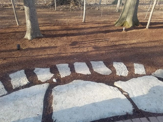JM Landscape And Tree Services - Photo 11