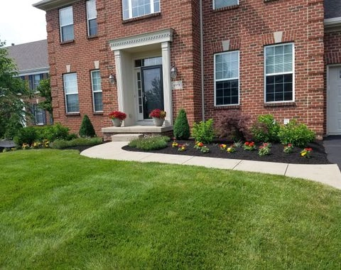 JM Landscape And Tree Services - Photo 10